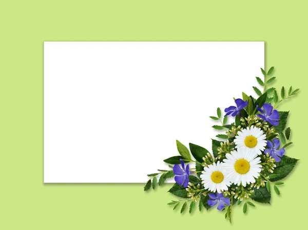 Cartão e buquê de flores silvestres — Fotografia de Stock